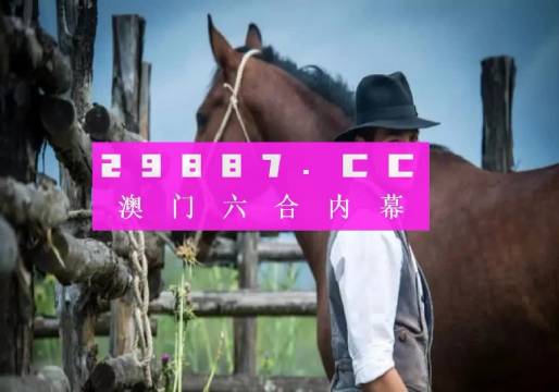 ＂澳门一肖一码一一子中特＂的：实地研究解答协助_复古版9.45