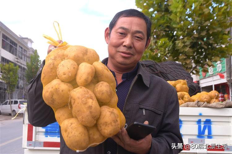 菏泽土豆价格动态回顾与影响因素分析