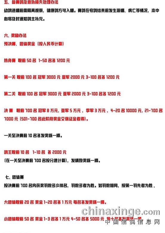 长明公棚最新公告，友情与陪伴的温馨日常