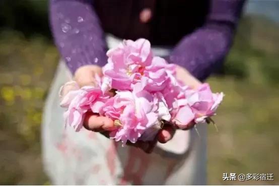 泗阳成子湖规划揭秘，探索小巷风情与神秘小店新篇章