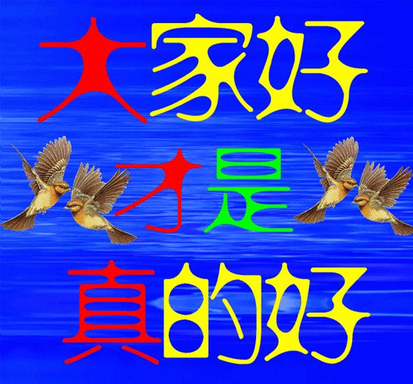 群最新动态更新