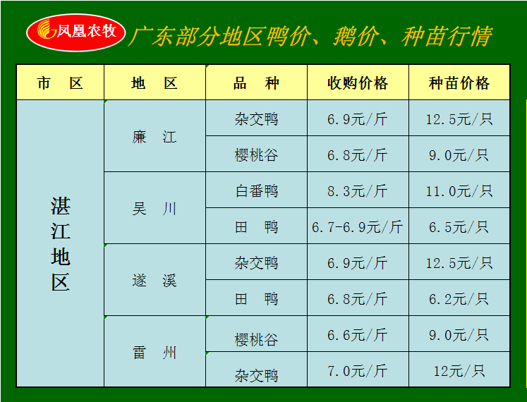 时代变迁下的泥鸭最新市场价格解析