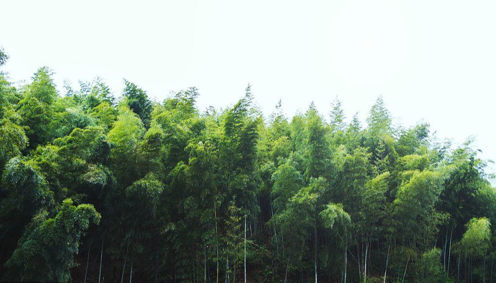海东最新建房动态，学习变化，自信成就梦想之路