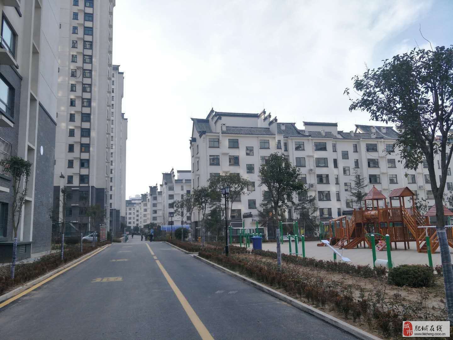 肥城龙山一品，小巷中的隐藏宝藏——最新房价与独特风情探索