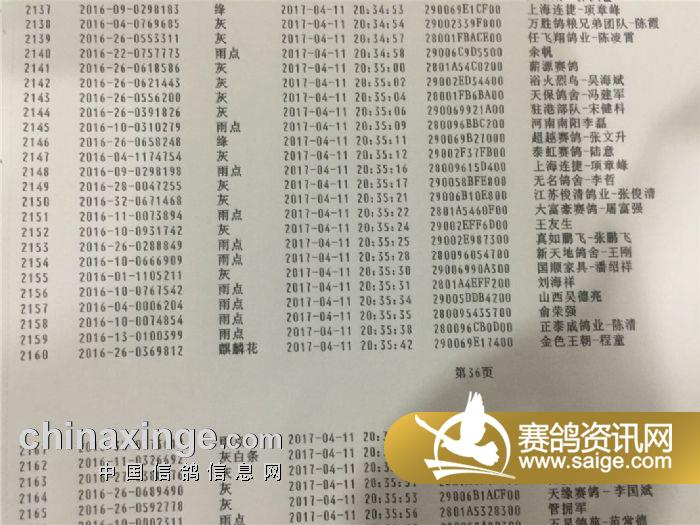 清徐信鸽协会最新动态与相关论述概述
