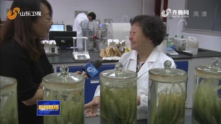 时代的变迁与馒头的故事，最新58同城馒头房转让信息
