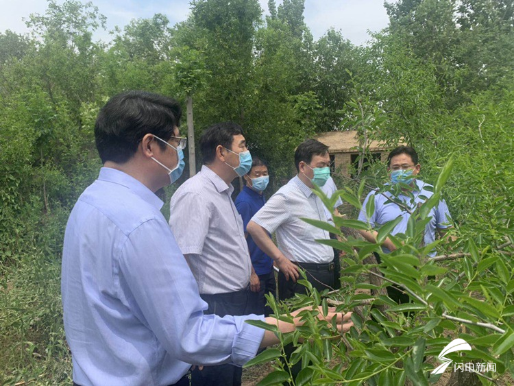 华能沾化电厂最新动态，与自然美景的邂逅之旅