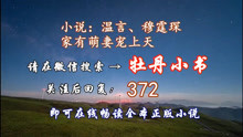 小巷中的秘密书店，温言穆霆琛小说全文免费阅读最新
