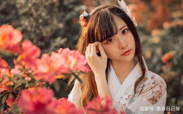 韩三千苏迎夏最新更新免费阅读攻略，步骤指南与最新章节预览