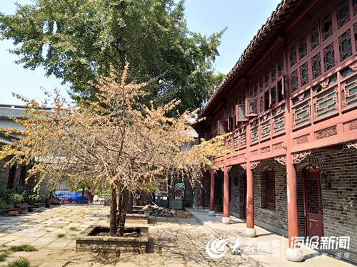 郯城最新新闻，获取本地新闻的步骤指南